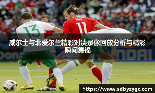 威尔士与北爱尔兰精彩对决录像回放分析与精彩瞬间集锦